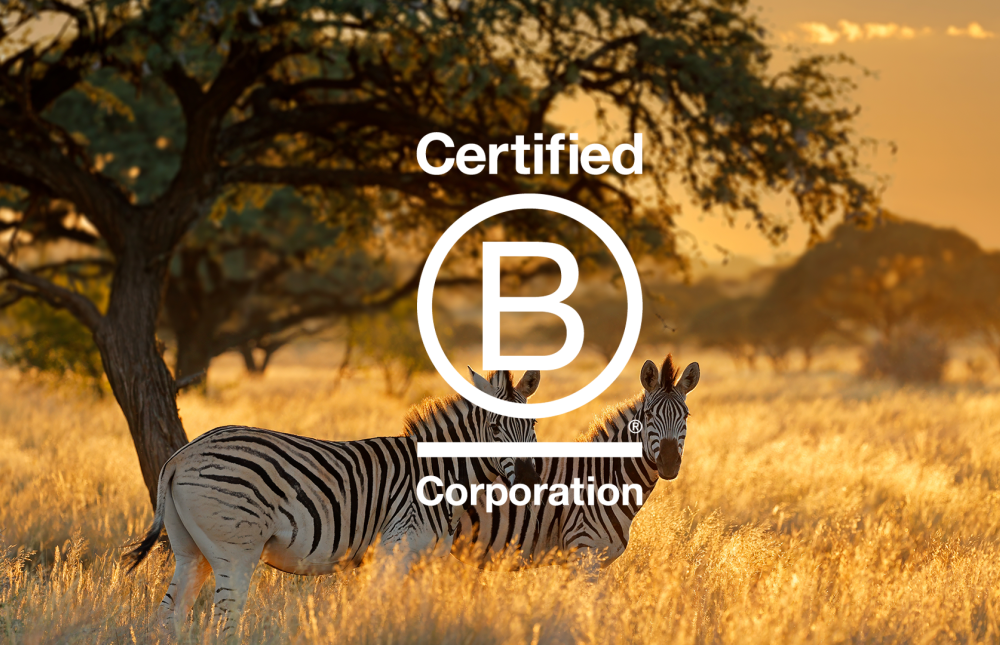 Be Better: A Path To A Cultural Reawakening