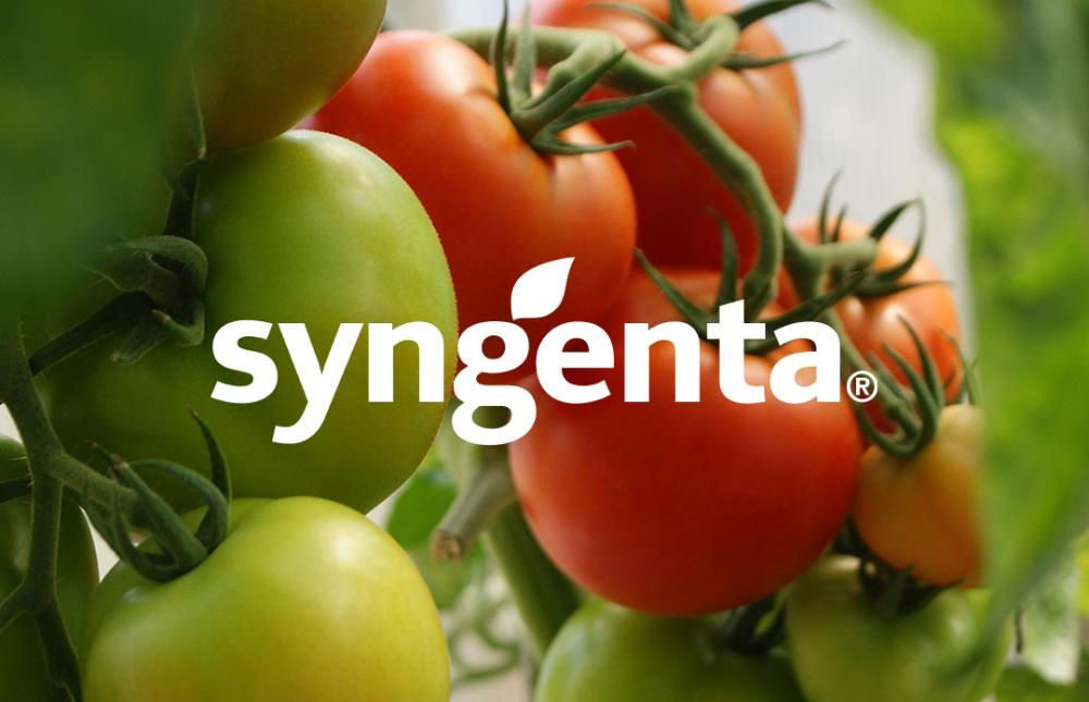 Case-study--featured-Syngenta