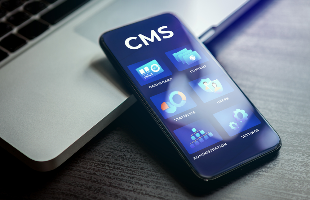 The Role of the Organic SEO Consultant