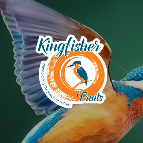 Testimonial-thubnail-KFF