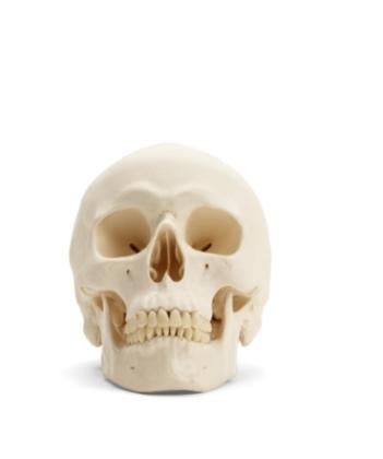 Be Better Stories Jessica